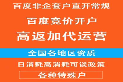 专业SEM服务公司案例分析报告